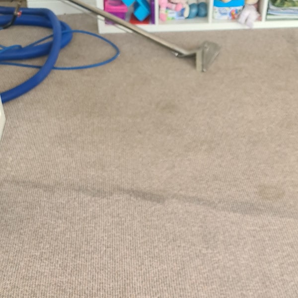 Carpet Cleaning