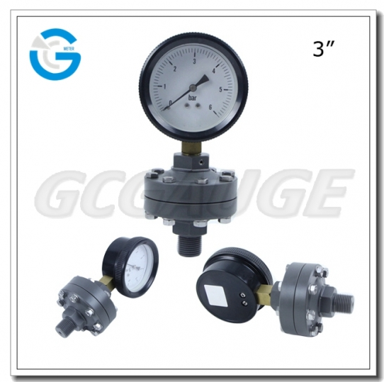 All Plastic Diaphragm Seal Pressure Gauges