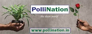 POLLINATION DECOR WORLD