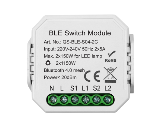 2 Gangs Bluetooth Switch Module