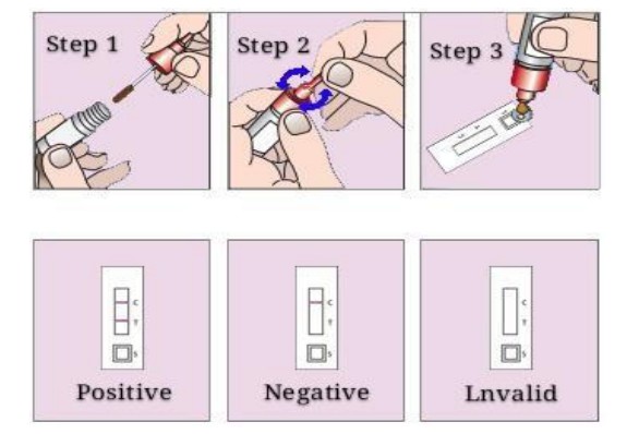 HCV Test Kit