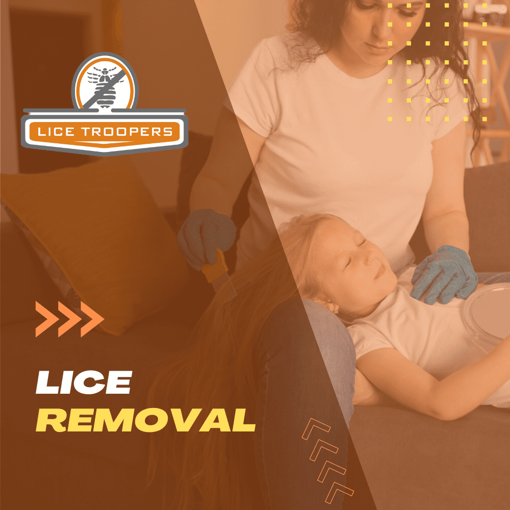 Professional At Home Lice Treatment Service - Convenient for you and your family