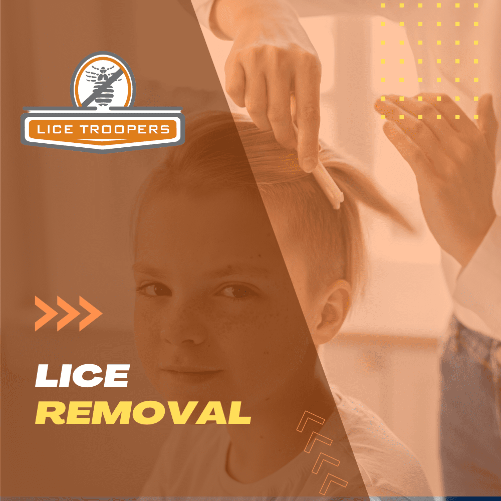 At Home Visual Lice Screening