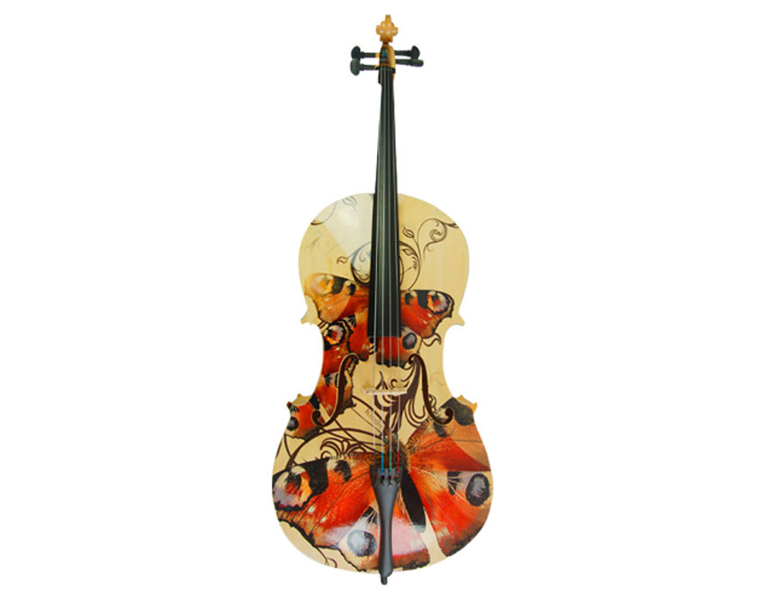 Acoustic Cello