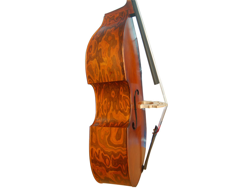 Acoustic Double Bass