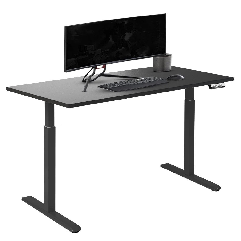 Desky Single Sit Stand Gaming Desk