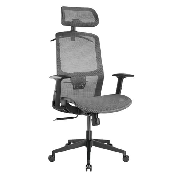 Desky Adjustable High Back Mesh Chair