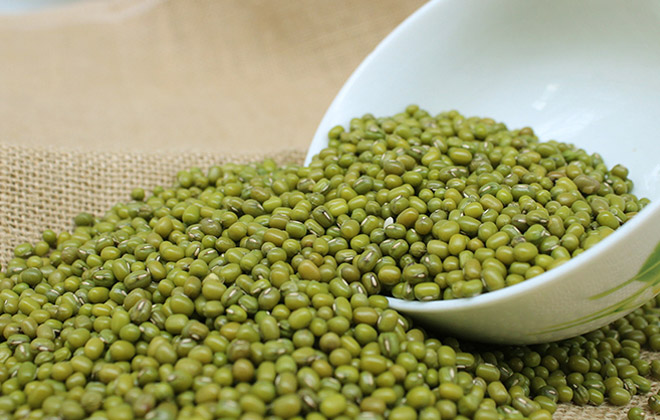 Mung Bean