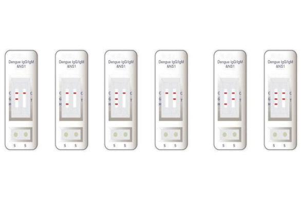 Recombinant Troponin C