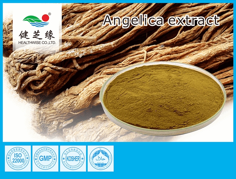 Angelica Root Extract