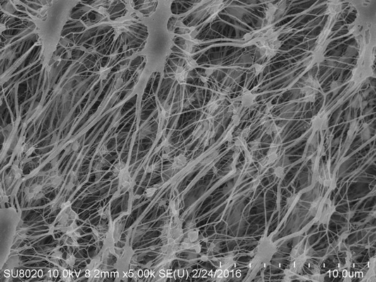 The Functions of Waterproof and Moisture Permeable of PTFE Micro Porous Membrane