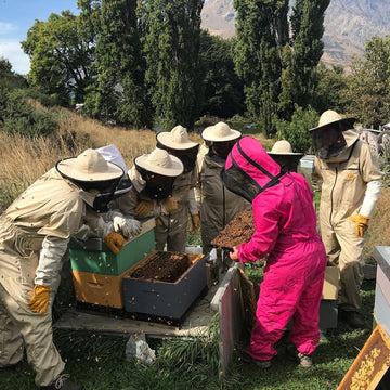 QUEENSTOWN BEEKEEPING TOUR