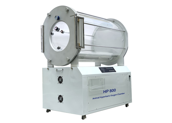 Types of Veterinary Hyperbaric Chambers