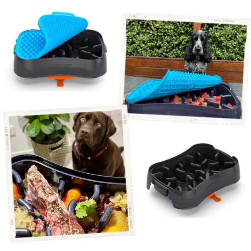 The Ultimate, Versatile 4-in-1 Slow Feeder Dog Bowl