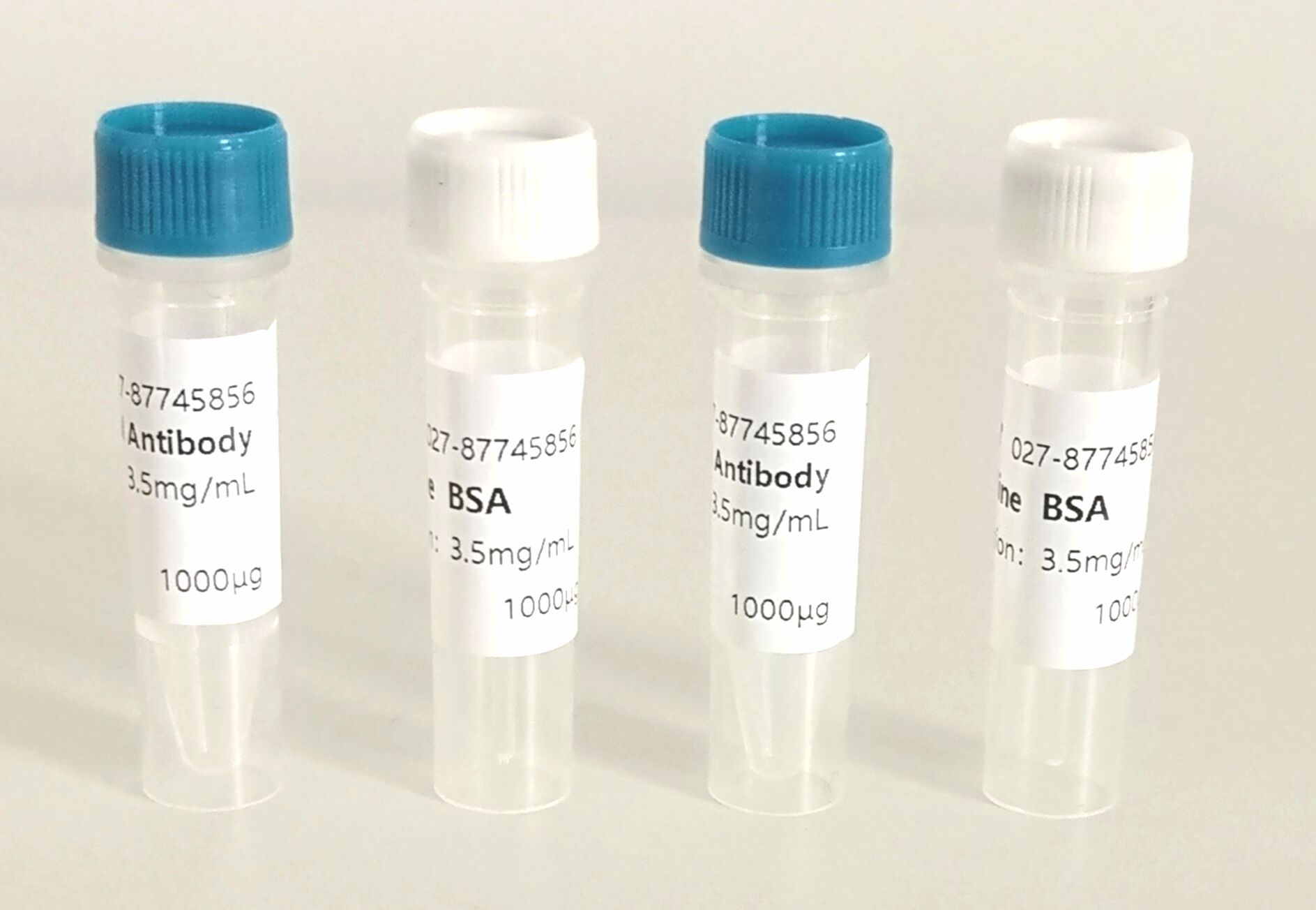 Zilpaterol Monclonal Antibody 