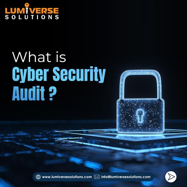 Cyber Security Audit 