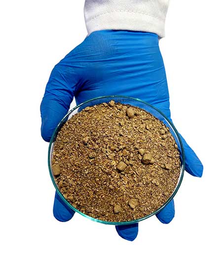 Organic Rapeseed meal Supplier