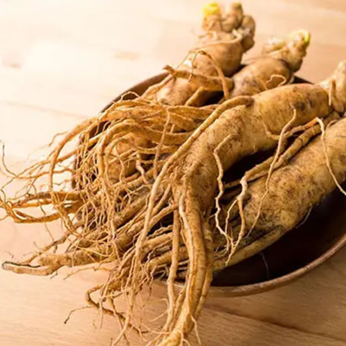 Panax Ginseng Extract