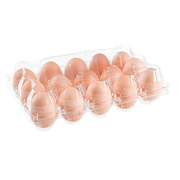 Disposable Egg Tray