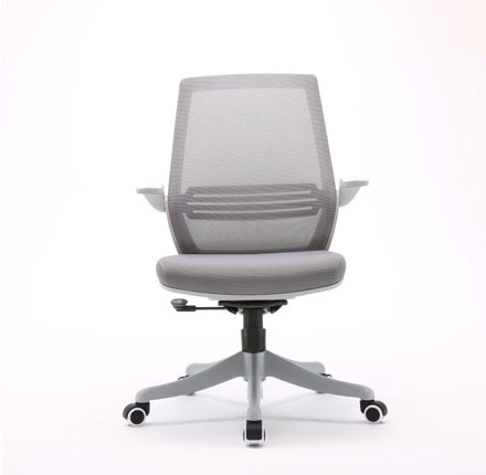 Conference Chair