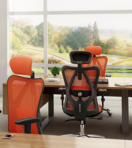 Sihoo Office Chair