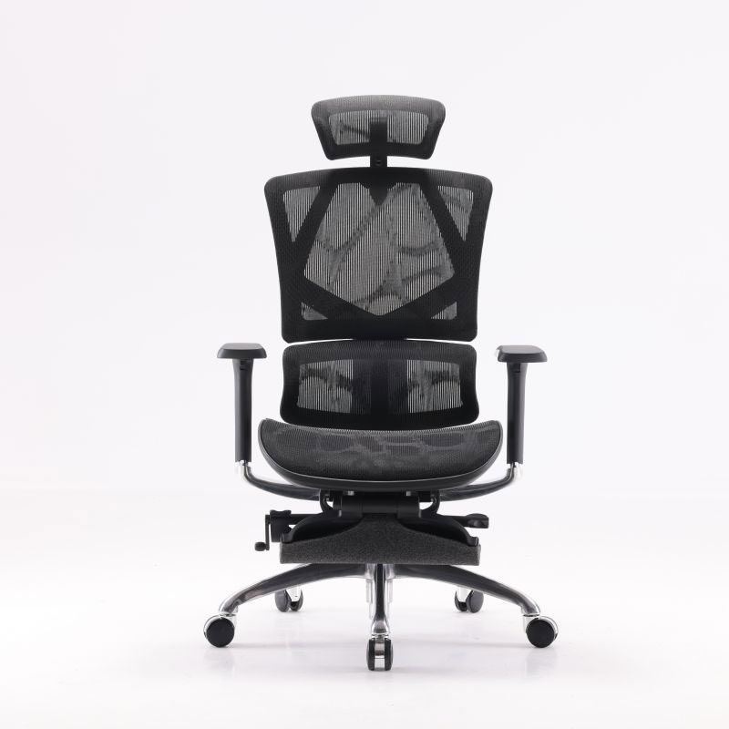 Sihoo A2B Black Mesh Ergonomic Office Chair with 3D Armrest and Neck Support