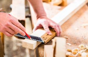 CARPENTRY SERVICES, MAINTENANCE & REPAIRS