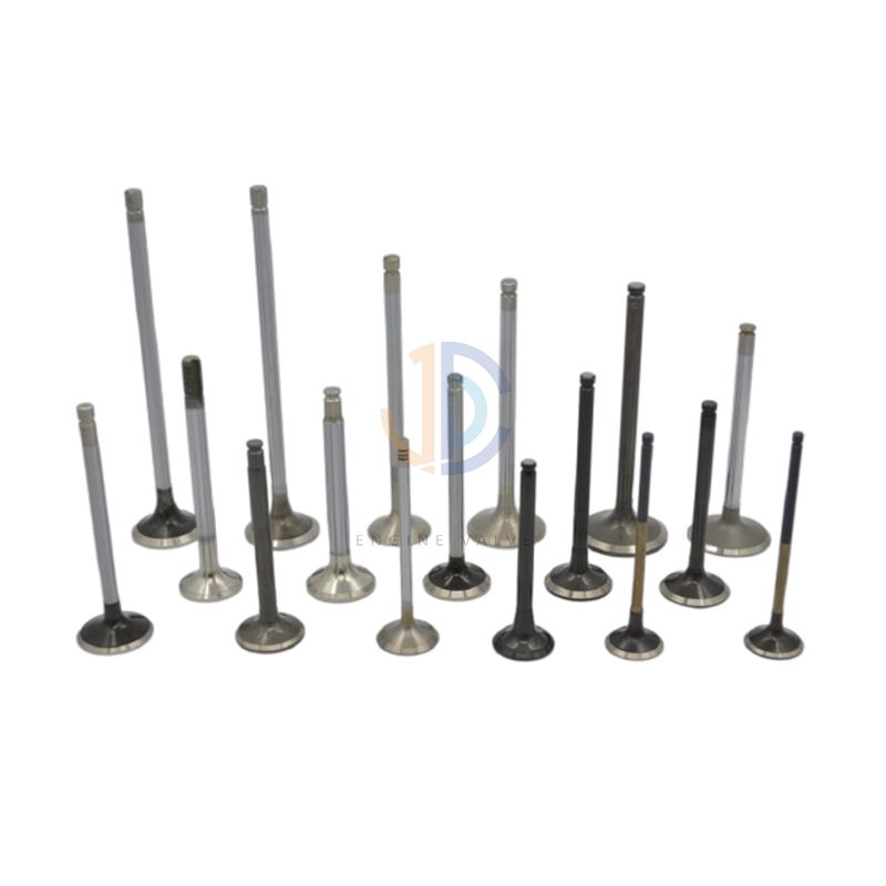 All Kinds Of High Quality Engine Valves