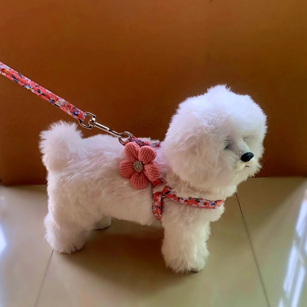 Buy Dog And Cat Harness With Leash