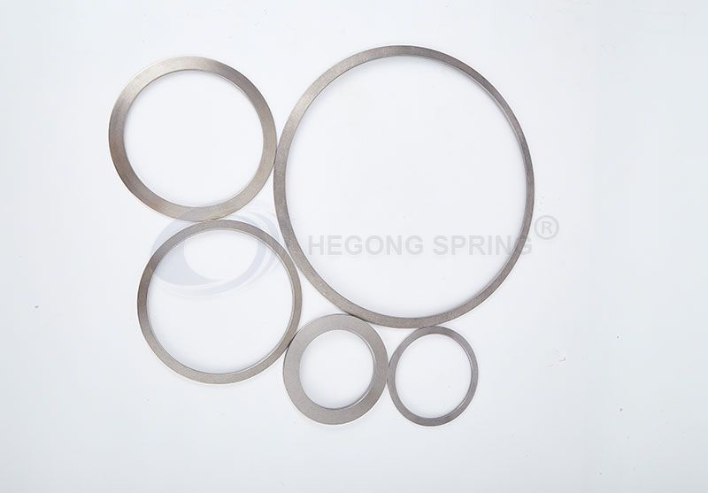 Disc Springs for Valves