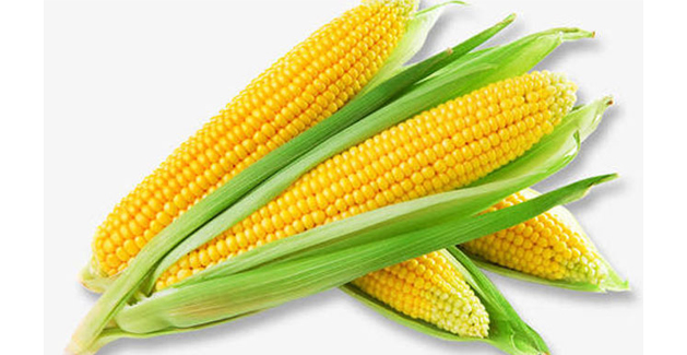 Resistant Dextrin(Soluble Corn Fiber)