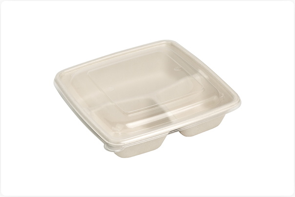 BAGASSE FOOD PACKAGING