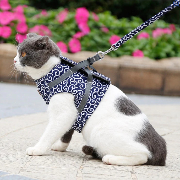 Whisker Walk™ Cat Vest Set 