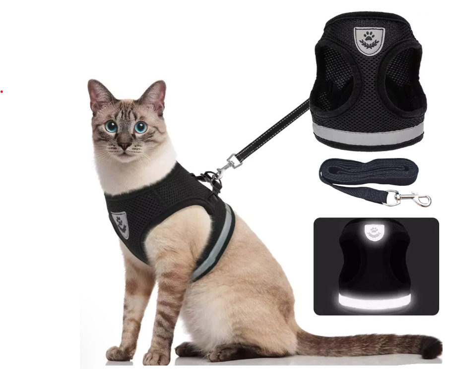 Order now! Reflective Cat Vest Set 