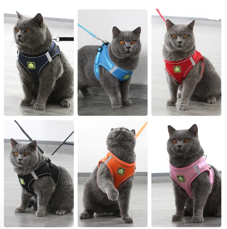 Order now! Reflective Cat Leash Vest 