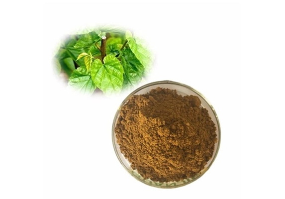 Mulberry Leaf Extract