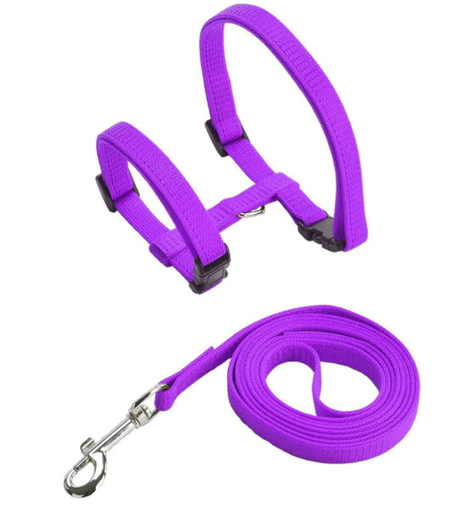 Buy Now! Cat Adjustable Nylon Strap Collar Harness Leash