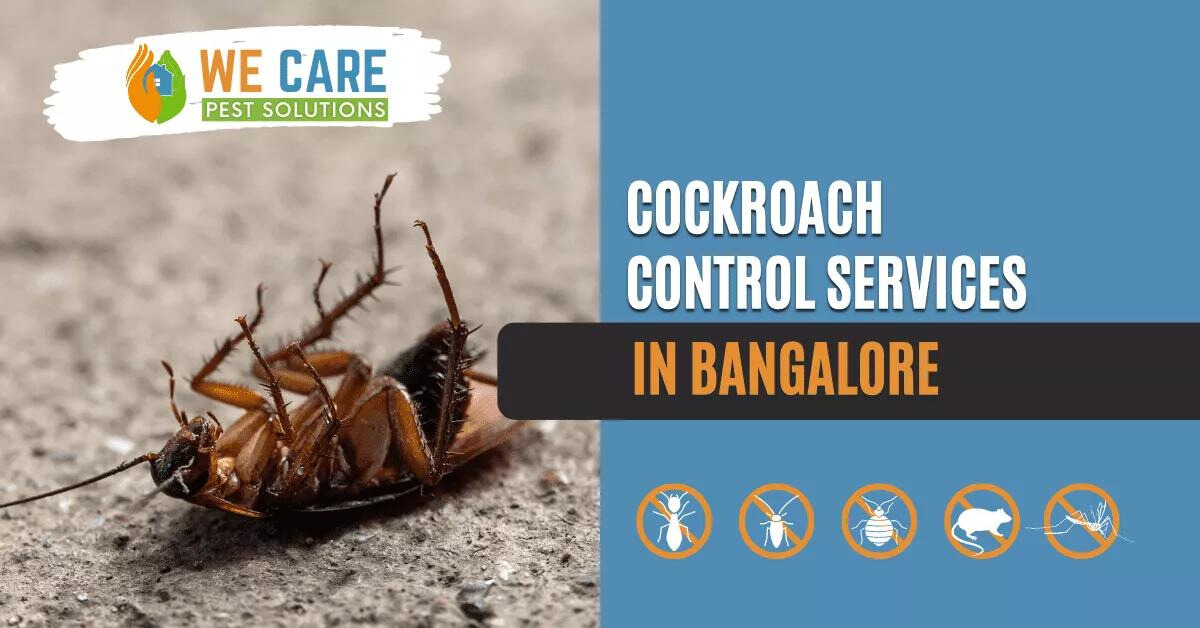 Cockroach Pest Control in Bangalore : We Care Pest Solutions for a Healthier Environment