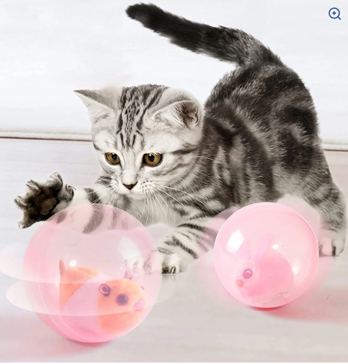 Buy Now! Electric Interactive Cat Ball Toy