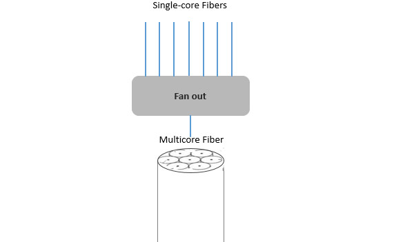 MCF Multicore Fiber Fanout