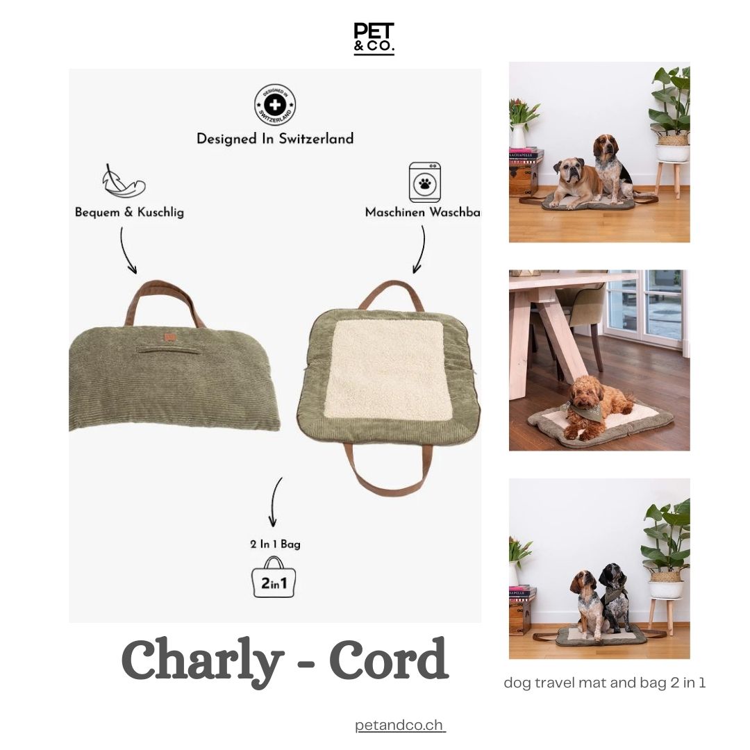 Dog travel mat and Bag 2 in 1 - Charly Cord