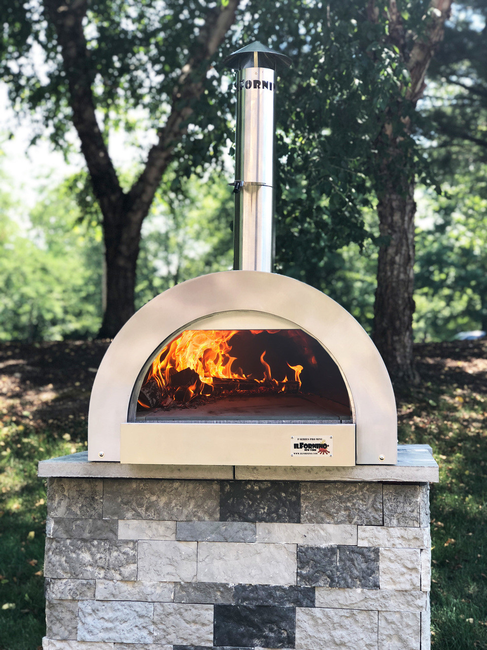 Shop IlFornino F-Series Mini Professional Stainless Steel Wood-Fired Pizza Oven