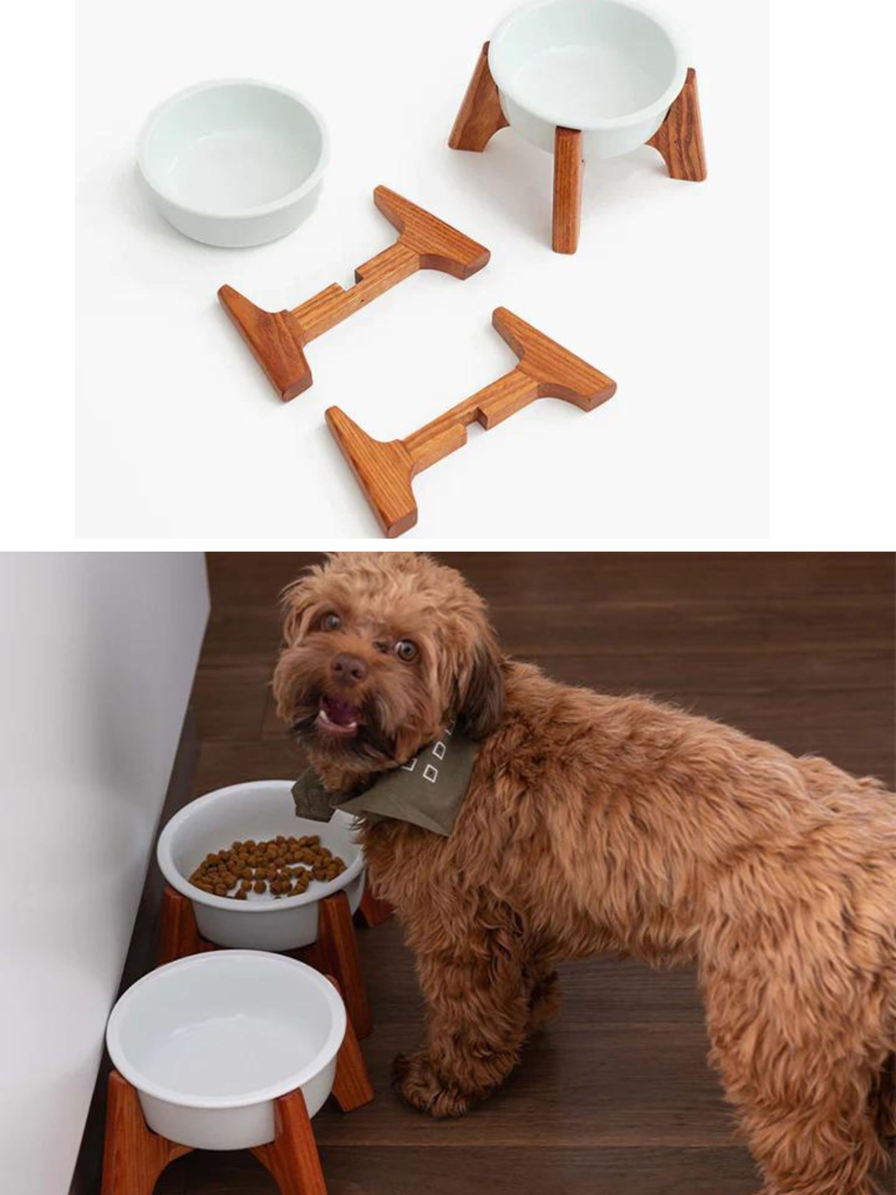 Ceramic Dog Feeding Bowl Online - DUO