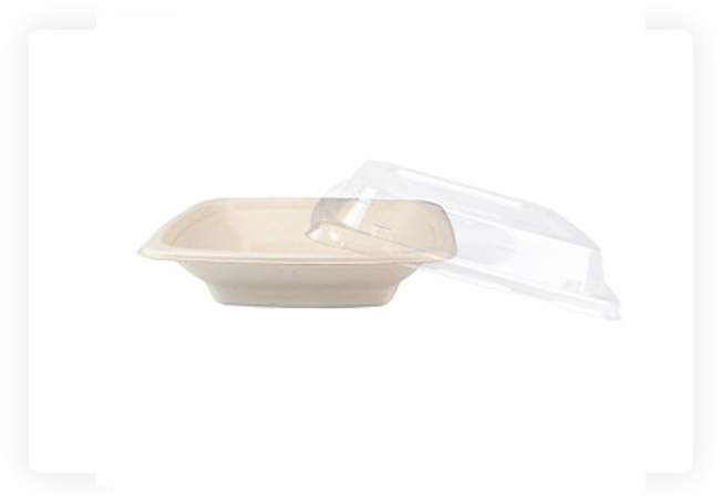 BIODEGRADABLE FOOD BOWL