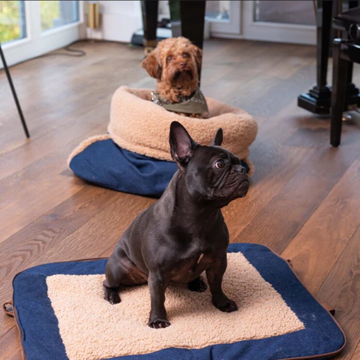 Luxury Dog Mat and Bag (2 in 1) Charly -Denim