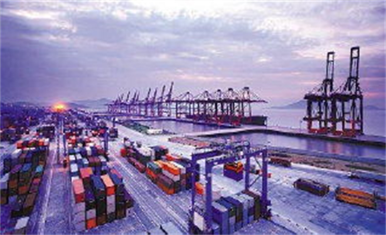 Container, nhựa, để phục vụ