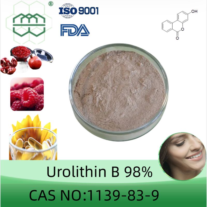 Urolithin B CAS No. : 1139-83-9 98% purity min.Anti-Aging 