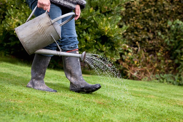 Lawn spraying Services