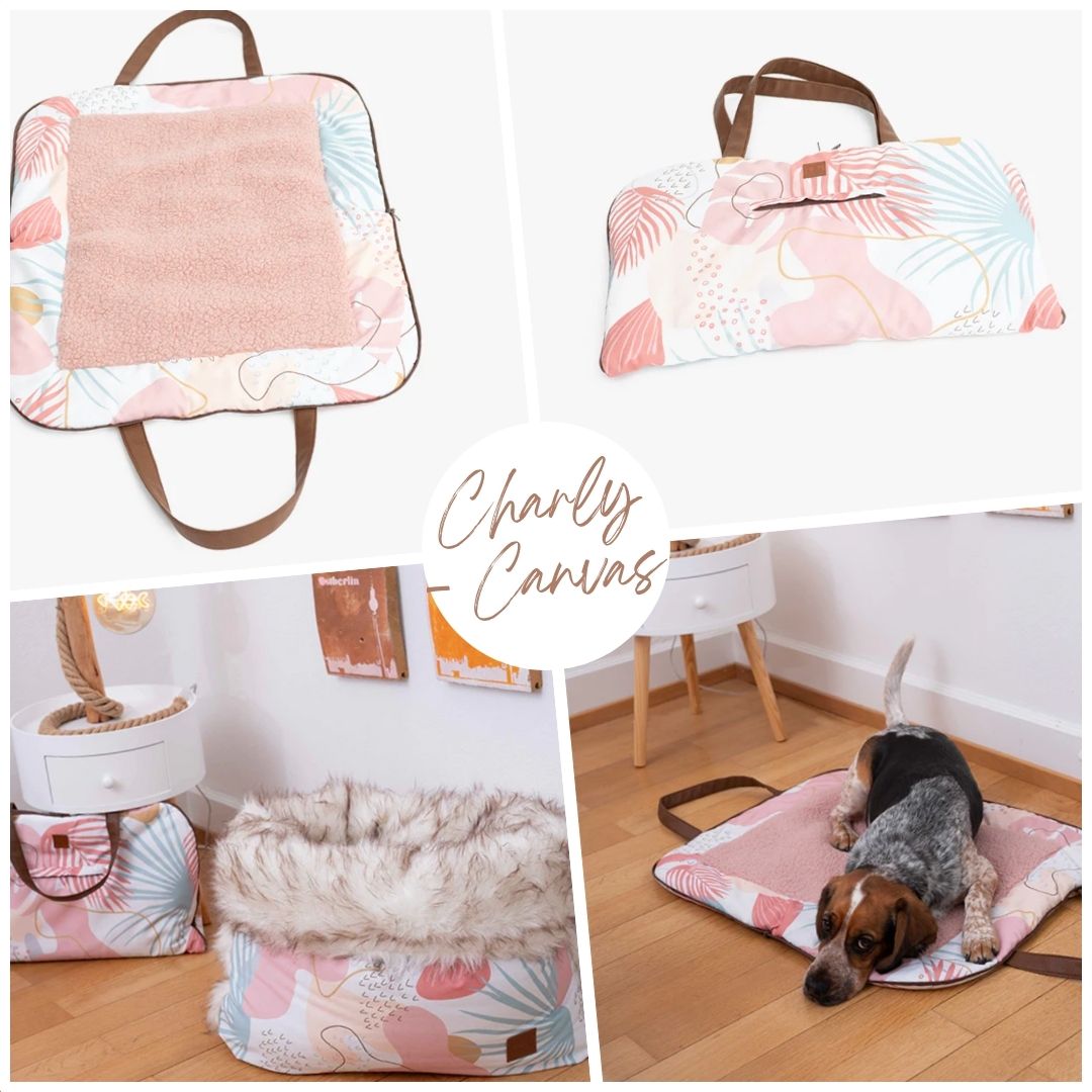 Dog Travel Mat and Bag with 2 in 1 Function - Charly - Canvas