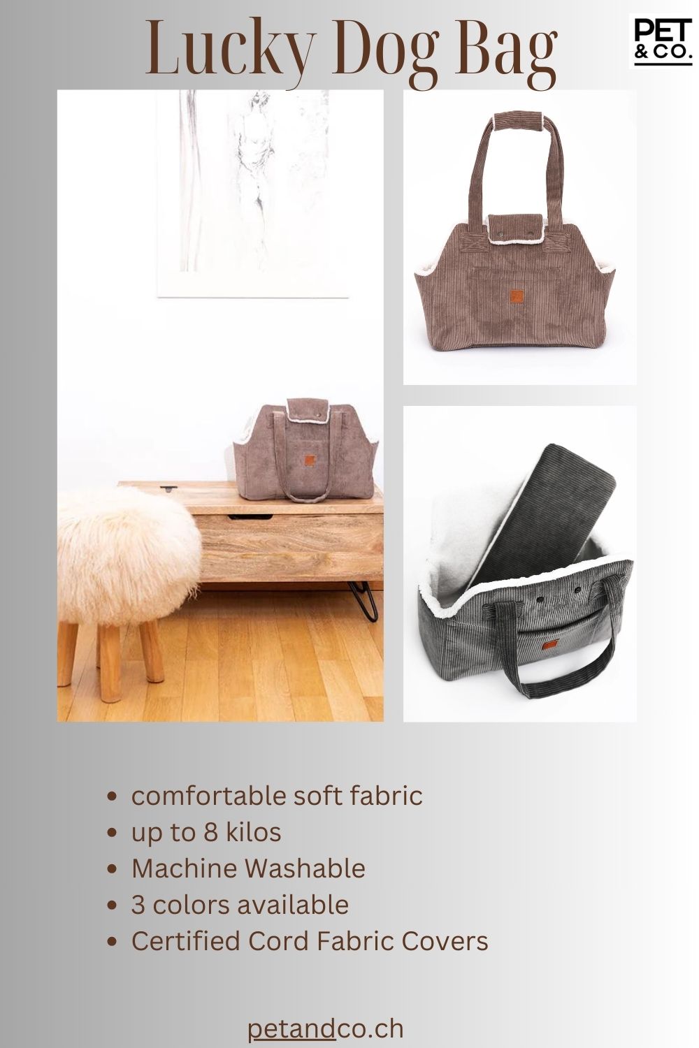  Comfortable and Stylish Dog Bag at Pet & Co. - Lucky 